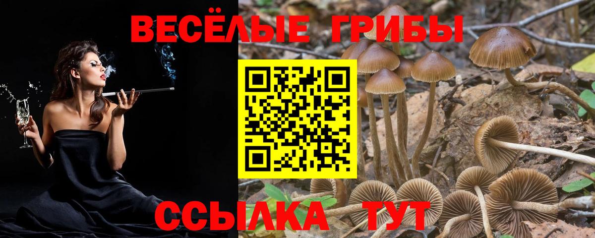Псилоцибиновые грибы мицелий  Вход с VPN  Михайловка 